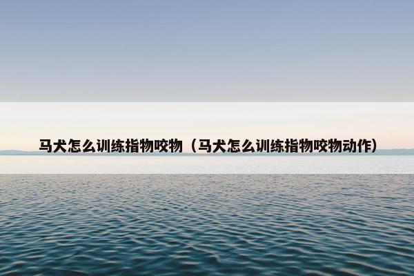 马犬怎么训练指物咬物（马犬怎么训练指物咬物动作）