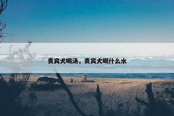 贵宾犬喝汤，贵宾犬喝什么水