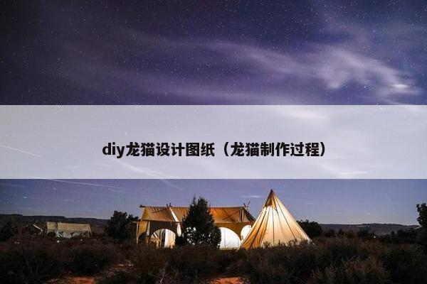 diy龙猫设计图纸（龙猫制作过程）