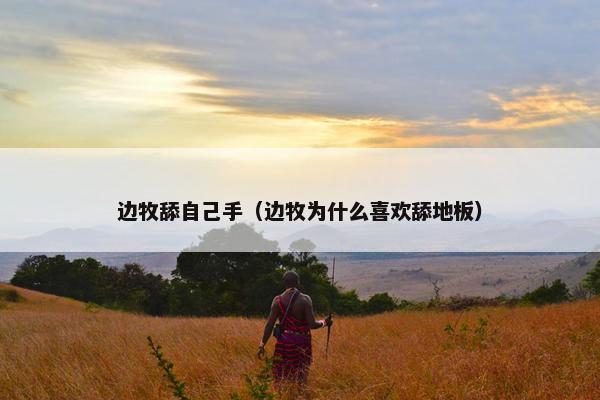 边牧舔自己手（边牧为什么喜欢舔地板）