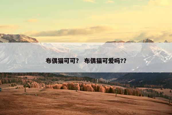 布偶猫可可？ 布偶猫可爱吗?？