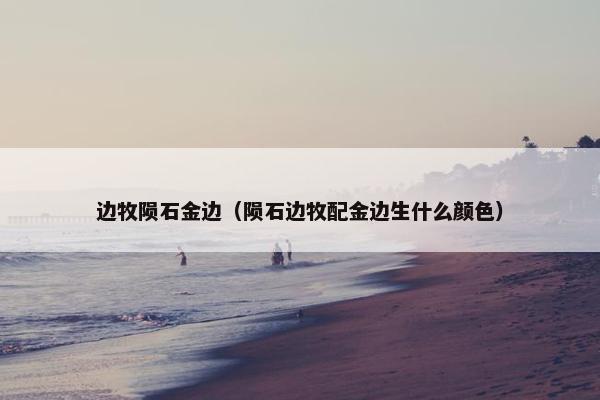 边牧陨石金边（陨石边牧配金边生什么颜色）