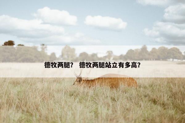 德牧两腿？ 德牧两腿站立有多高？