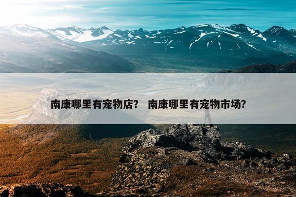 南康哪里有宠物店？ 南康哪里有宠物市场？