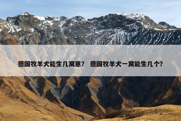 德国牧羊犬能生几窝崽？ 德国牧羊犬一窝能生几个？