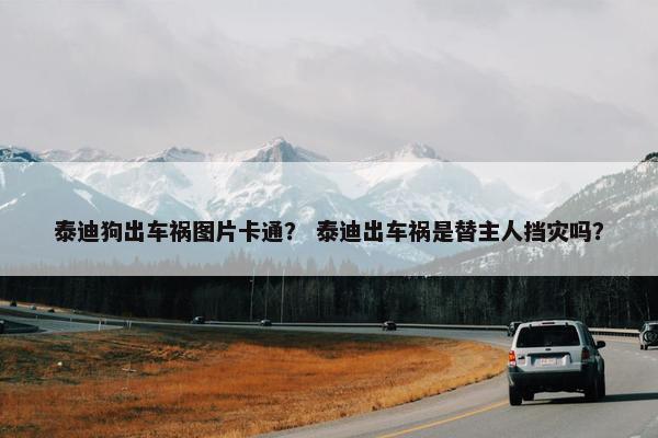 泰迪狗出车祸图片卡通？ 泰迪出车祸是替主人挡灾吗？