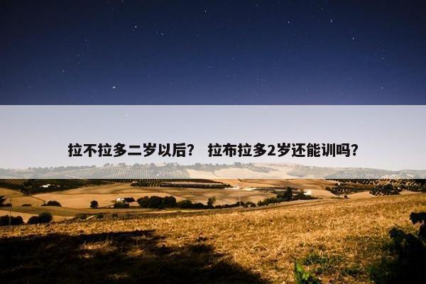 拉不拉多二岁以后？ 拉布拉多2岁还能训吗？