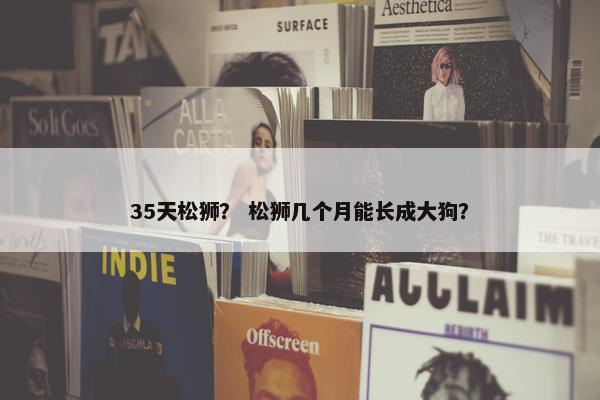 35天松狮？ 松狮几个月能长成大狗？