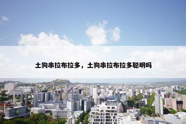 土狗串拉布拉多，土狗串拉布拉多聪明吗