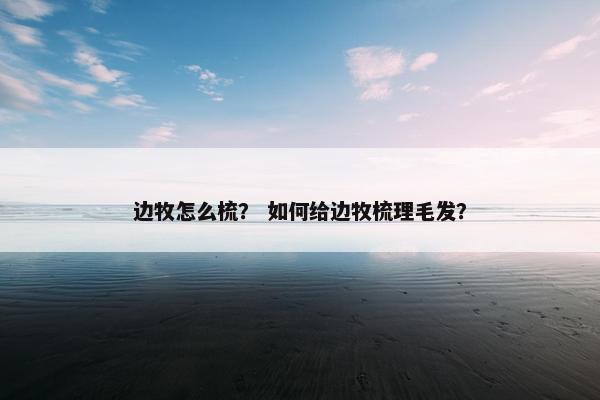 边牧怎么梳？ 如何给边牧梳理毛发？