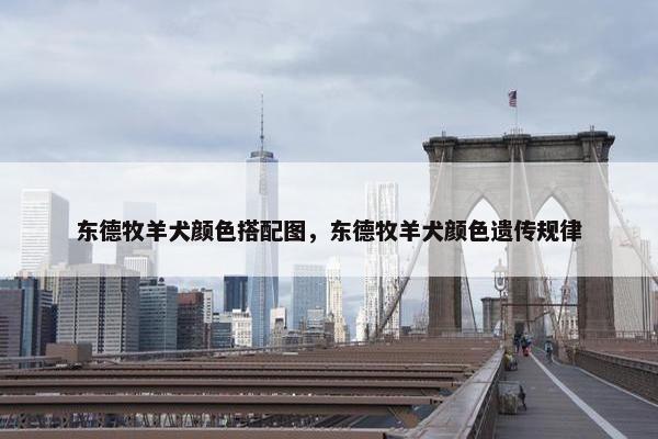 东德牧羊犬颜色搭配图，东德牧羊犬颜色遗传规律