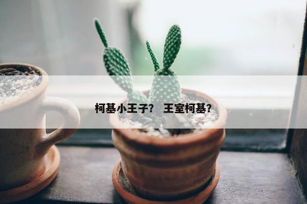 柯基小王子？ 王室柯基？