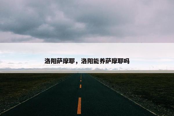 洛阳萨摩耶，洛阳能养萨摩耶吗