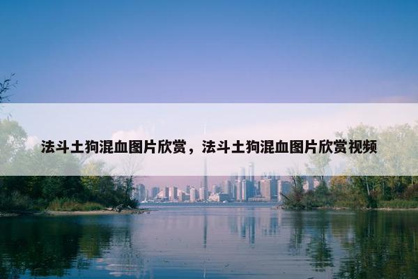 法斗土狗混血图片欣赏，法斗土狗混血图片欣赏视频