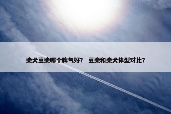 柴犬豆柴哪个脾气好？ 豆柴和柴犬体型对比？