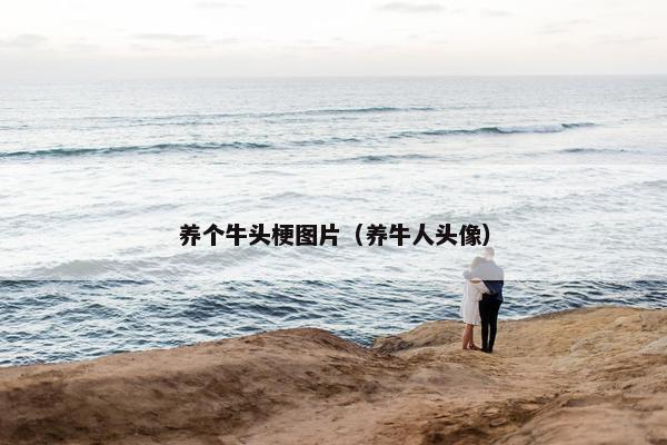 养个牛头梗图片（养牛人头像）