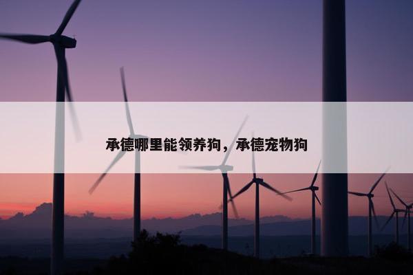 承德哪里能领养狗，承德宠物狗