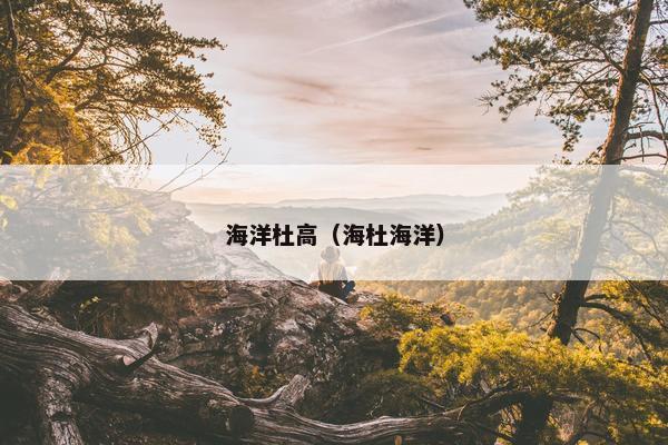 海洋杜高（海杜海洋）