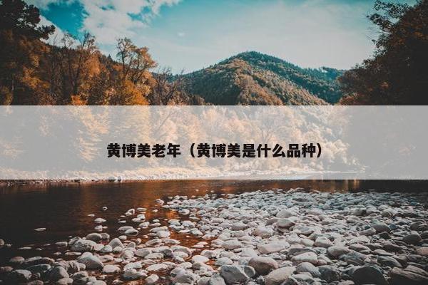 黄博美老年（黄博美是什么品种）