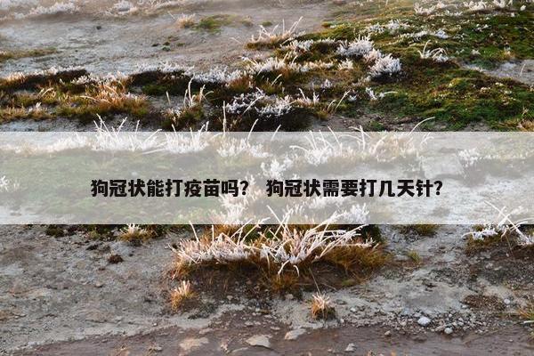狗冠状能打疫苗吗？ 狗冠状需要打几天针？