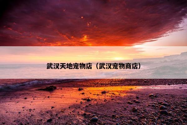 武汉天地宠物店（武汉宠物商店）