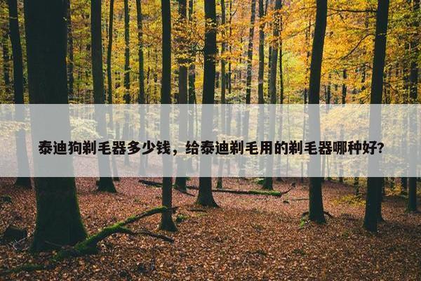 泰迪狗剃毛器多少钱，给泰迪剃毛用的剃毛器哪种好?