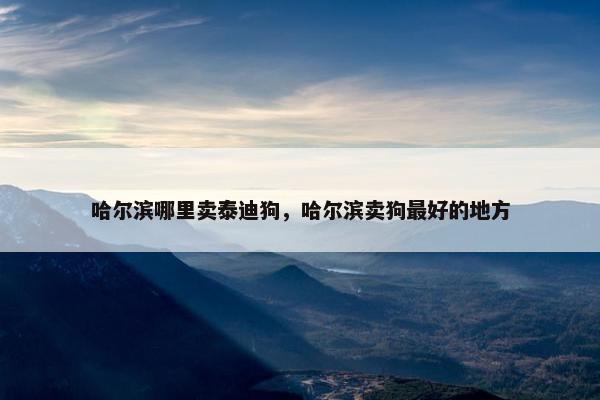 哈尔滨哪里卖泰迪狗，哈尔滨卖狗最好的地方