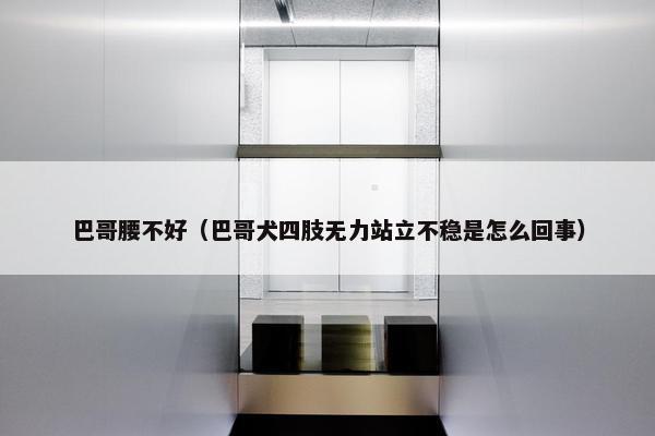 巴哥腰不好（巴哥犬四肢无力站立不稳是怎么回事）