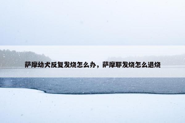 萨摩幼犬反复发烧怎么办，萨摩耶发烧怎么退烧