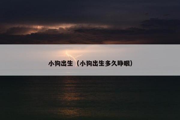 小狗出生（小狗出生多久睁眼）