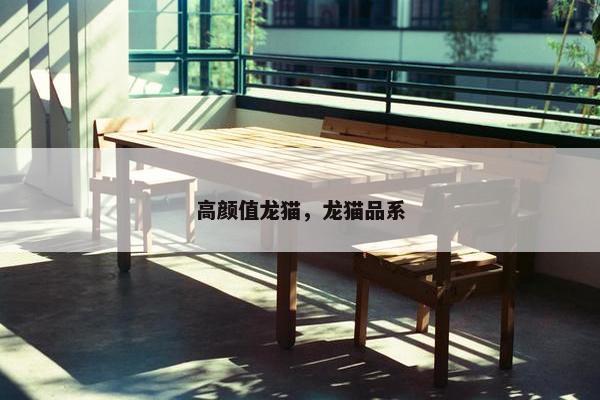 高颜值龙猫，龙猫品系