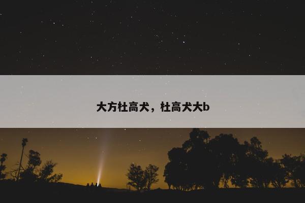 大方杜高犬，杜高犬大b