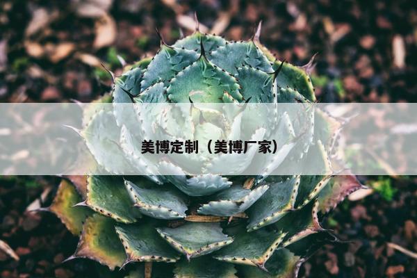 美博定制（美博厂家）