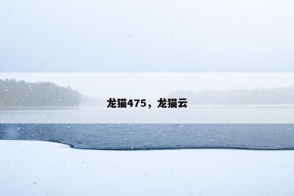 龙猫475，龙猫云