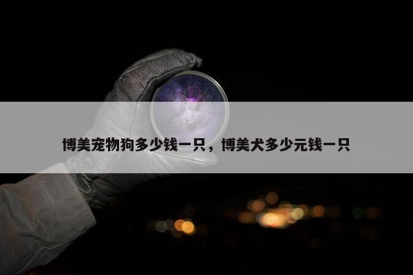 博美宠物狗多少钱一只，博美犬多少元钱一只