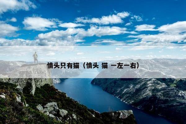 情头只有猫（情头 猫 一左一右）