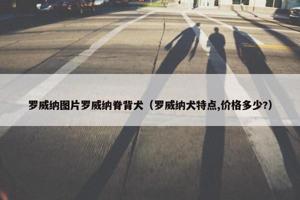 罗威纳图片罗威纳脊背犬（罗威纳犬特点,价格多少?）