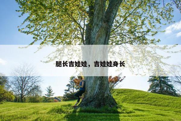 腿长吉娃娃，吉娃娃身长