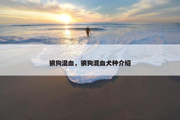 狼狗混血，狼狗混血犬种介绍