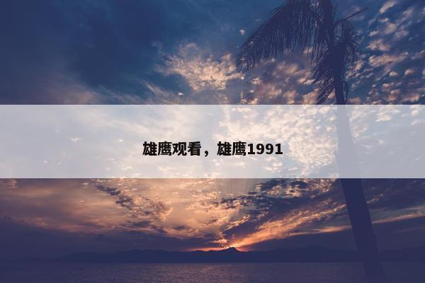 雄鹰观看，雄鹰1991