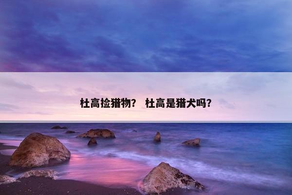 杜高捡猎物？ 杜高是猎犬吗？