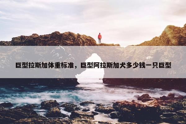 巨型拉斯加体重标准，巨型阿拉斯加犬多少钱一只巨型