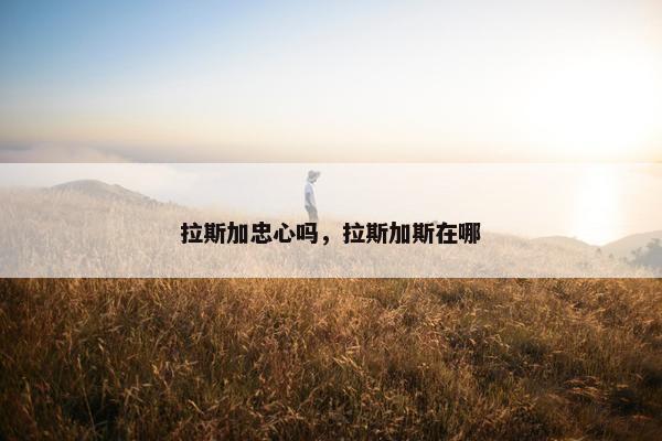 拉斯加忠心吗，拉斯加斯在哪