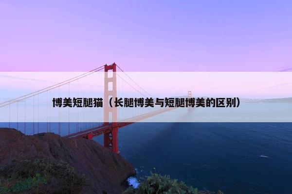 博美短腿猫（长腿博美与短腿博美的区别）