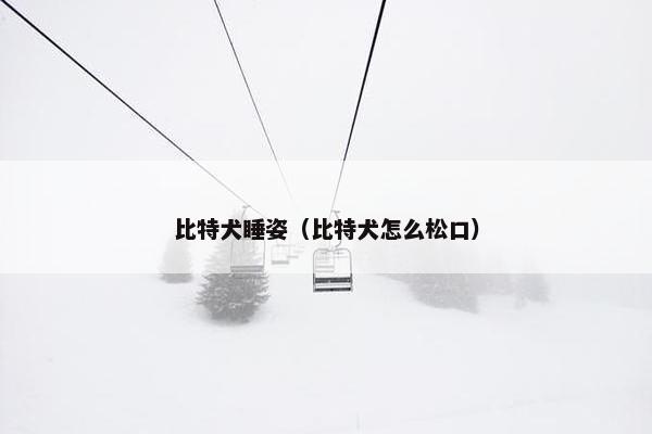 比特犬睡姿（比特犬怎么松口）