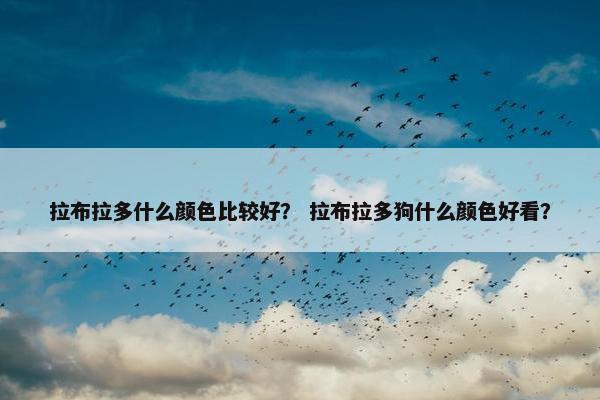 拉布拉多什么颜色比较好？ 拉布拉多狗什么颜色好看？