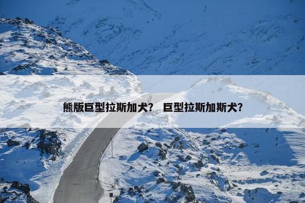 熊版巨型拉斯加犬？ 巨型拉斯加斯犬？