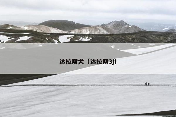 达拉斯犬（达拉斯3j）