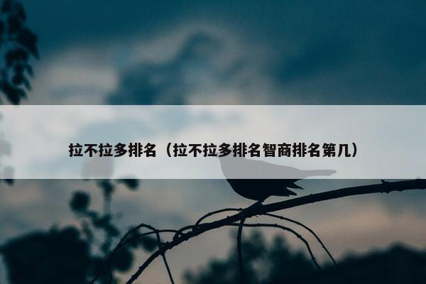 拉不拉多排名（拉不拉多排名智商排名第几）