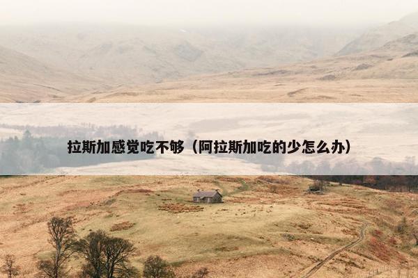 拉斯加感觉吃不够（阿拉斯加吃的少怎么办）